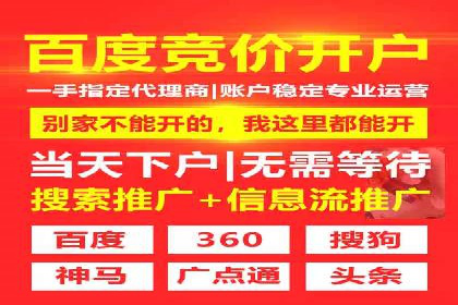 谷歌SEM案例分析：优化广告效果策略